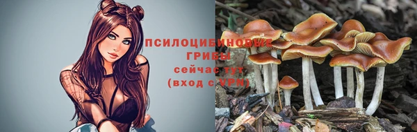 меф Вяземский