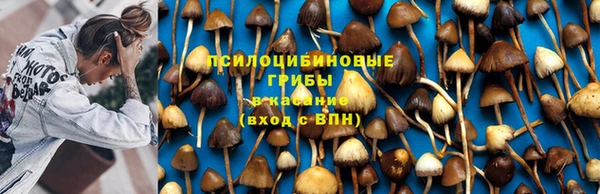 а пвп мука Вязьма