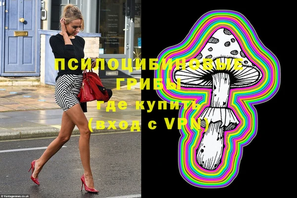 меф Вяземский