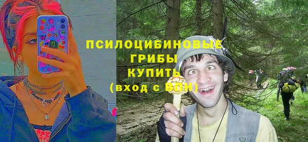 меф Вяземский