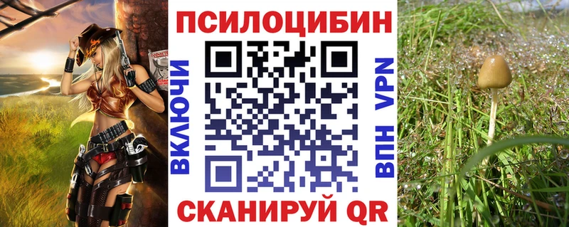 Псилоцибиновые грибы GOLDEN TEACHER  Купить закладки  Североморск 