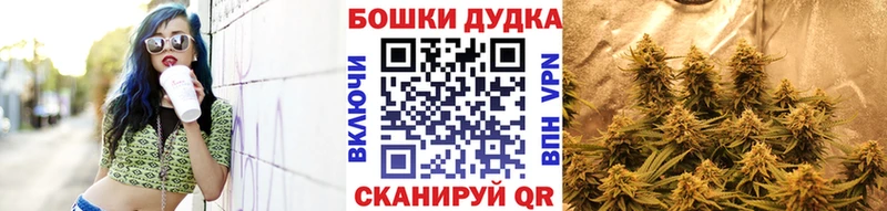Купить где  Североморск  Бошки Шишки планчик 